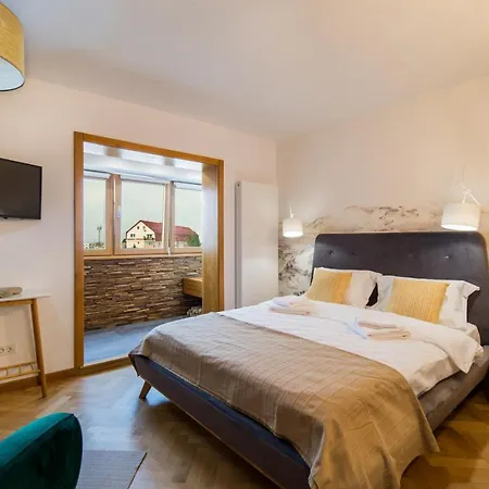 Zen Alpin Studio Apartment Brasov