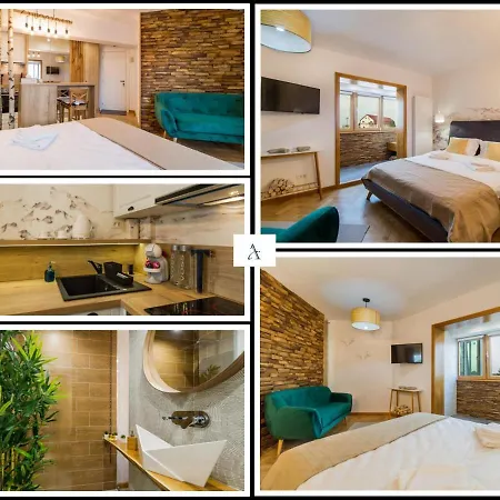 Apartment Zen Alpin Studio Brasov