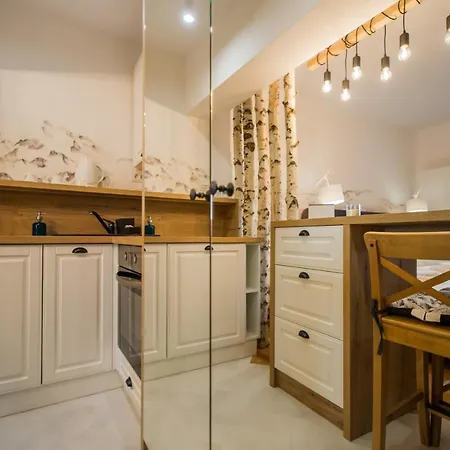 Zen Alpin Studio Apartment Brasov