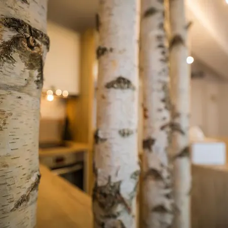 Apartment Zen Alpin Studio Brasov