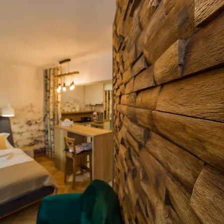 Zen Alpin Studio Apartment Brasov