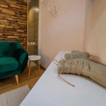 Zen Alpin Studio *