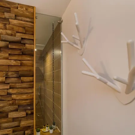 Zen Alpin Studio