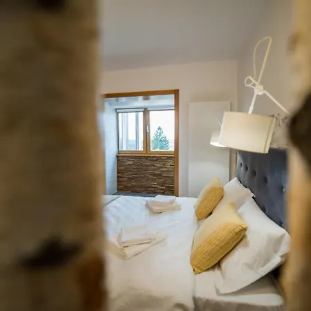 Zen Alpin Studio Brasov