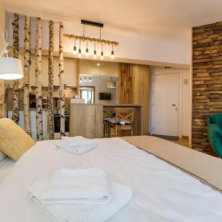 Apartment Zen Alpin Studio *